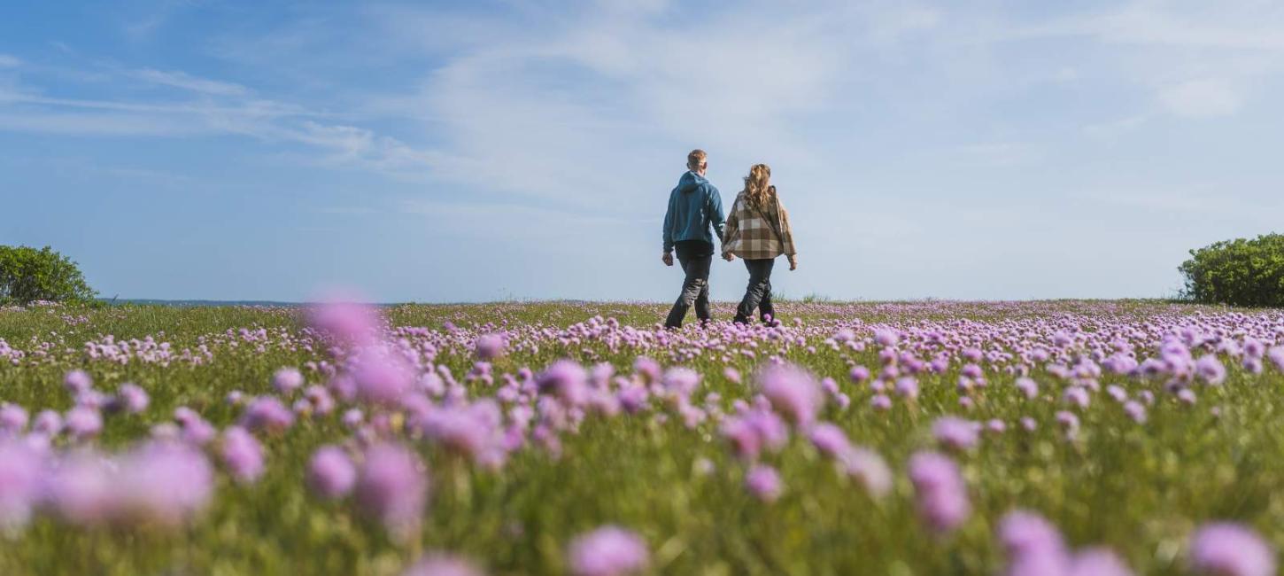 Udforsk Trelde Næs om foråret