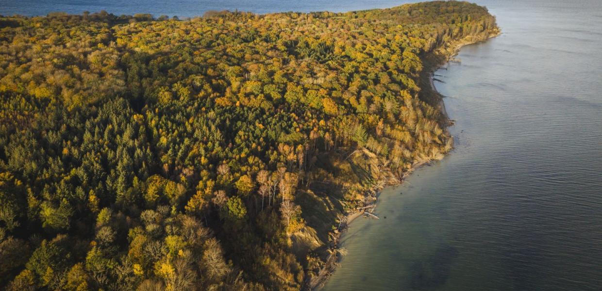 Trelde Næs i Fredericia om efteråret