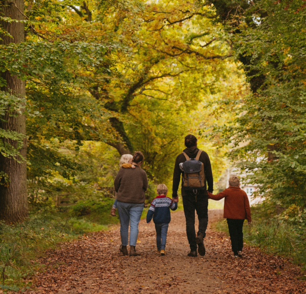 Efterårshygge for hele familien i Trelde Næs skoven