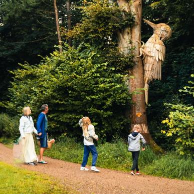 Oplev træspætten i skoven ved Trelde Næs