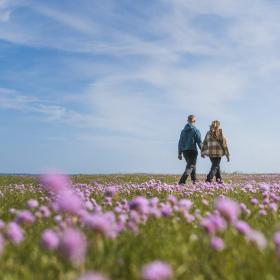 Udforsk Trelde Næs om foråret