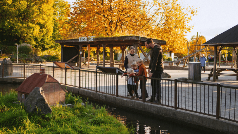 Oplev Madsby Legepark om efteråret