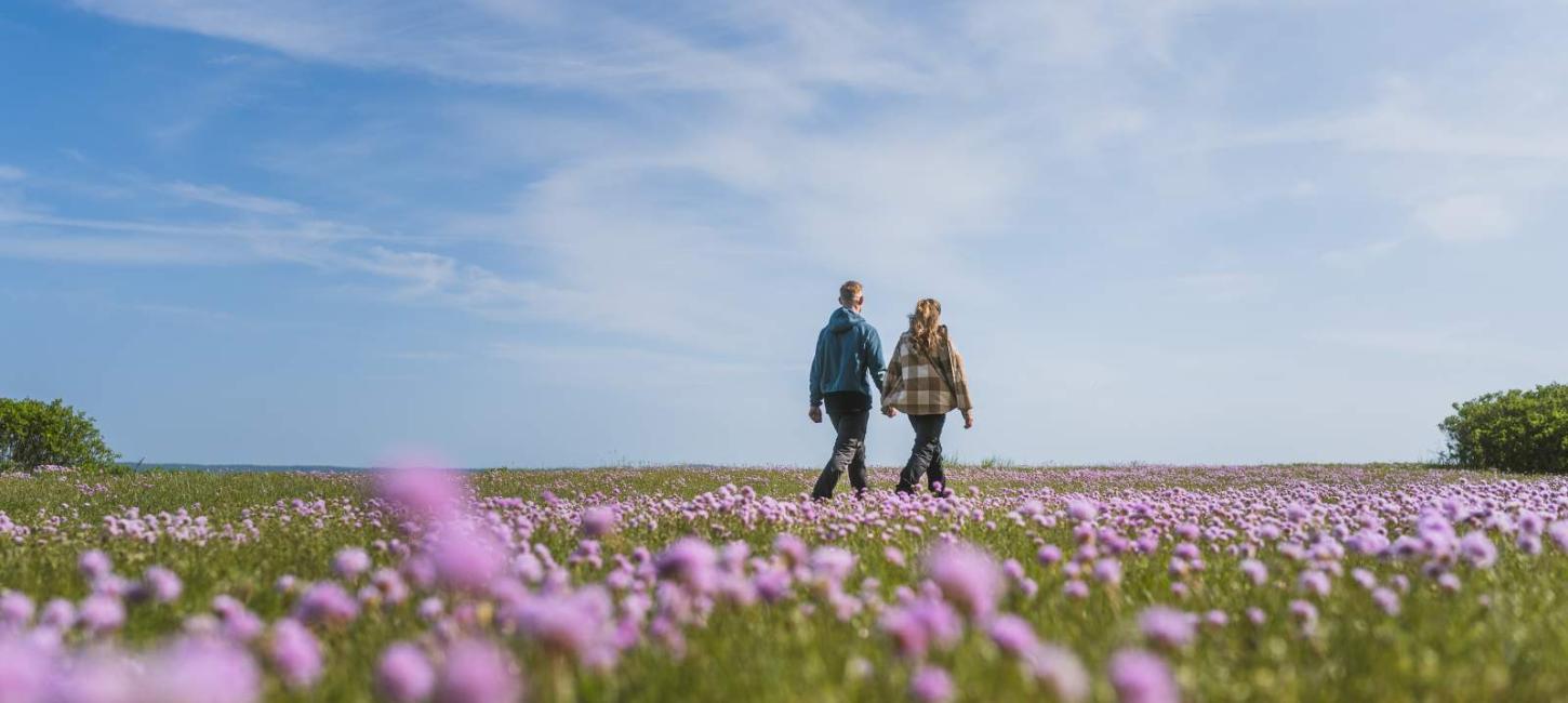 Udforsk Trelde Næs om foråret