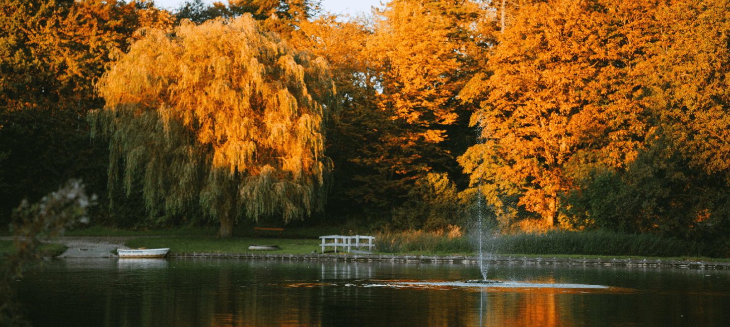 Natur ved Madsby Legepark