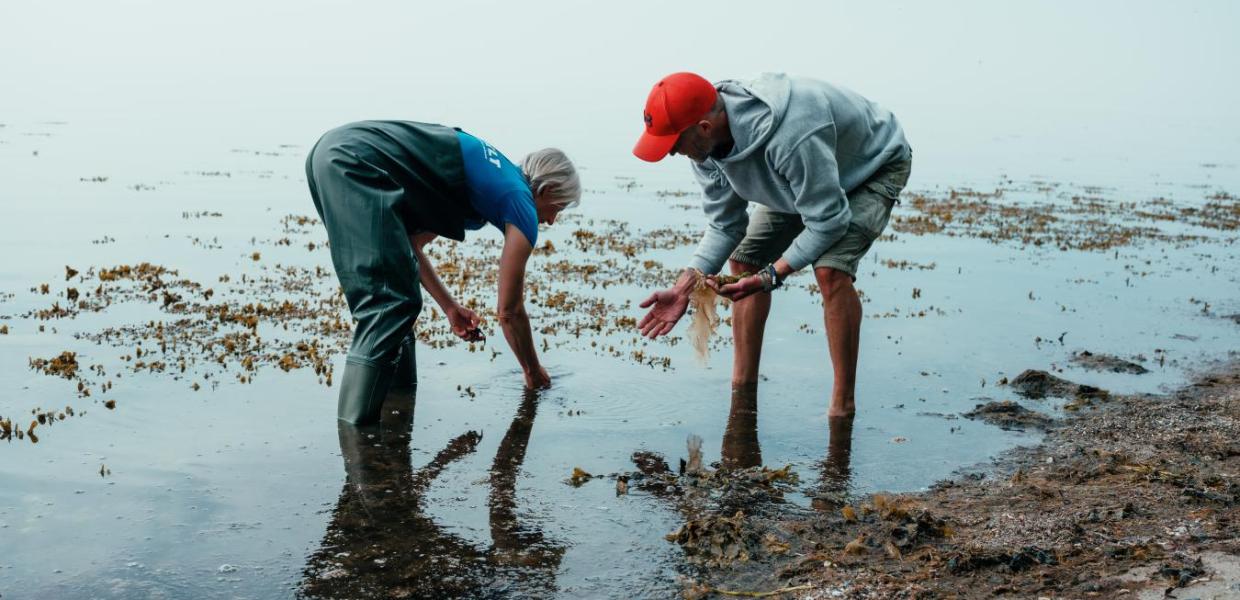 Tangsafari i Naturpark Lillebælt