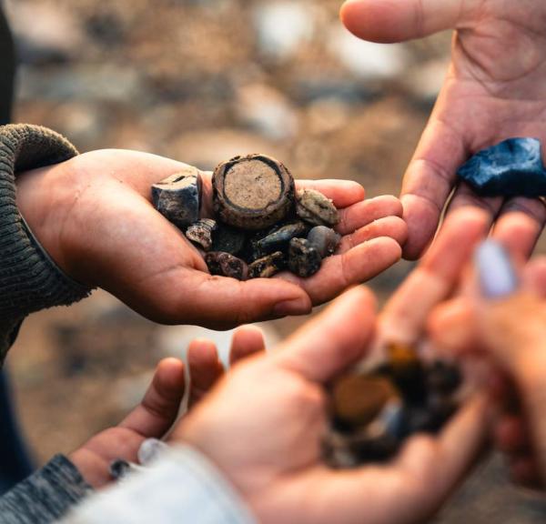 Tag på fossiljagt på stranden