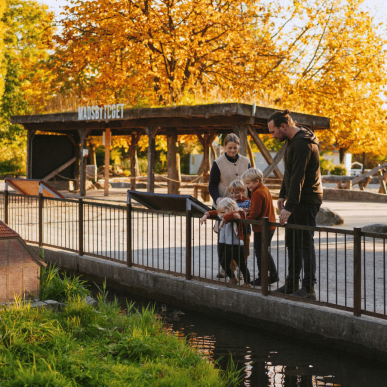 Oplev Madsby Legepark om efteråret